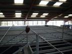 shipping container modification and repair 1 007